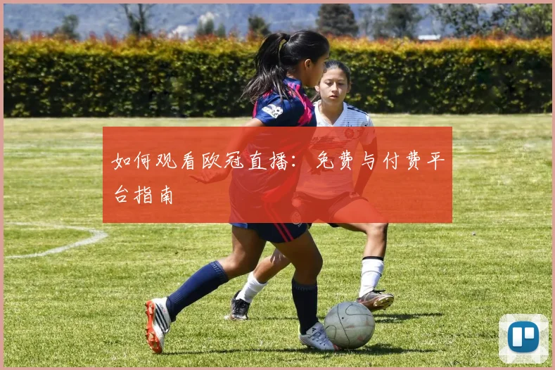 如何观看欧冠直播：免费与付费平台指南