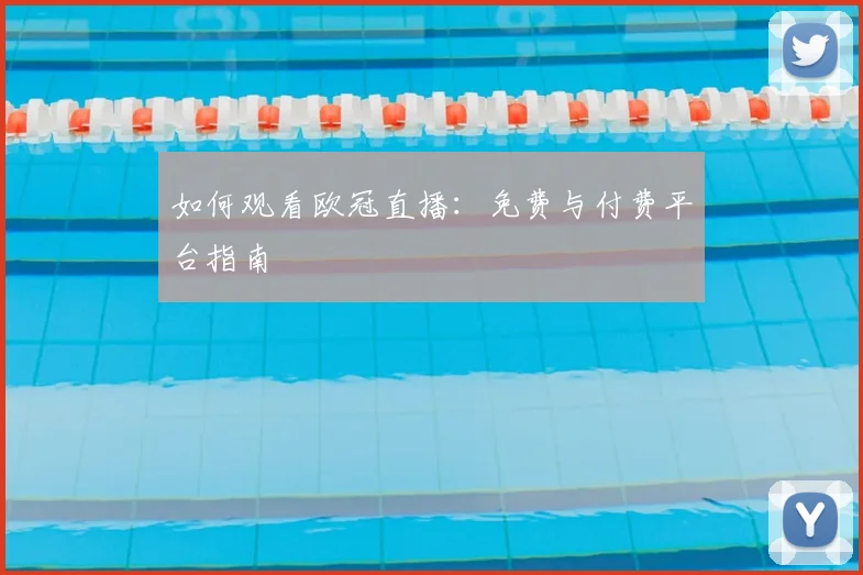 如何观看欧冠直播:免费与付费平台指南